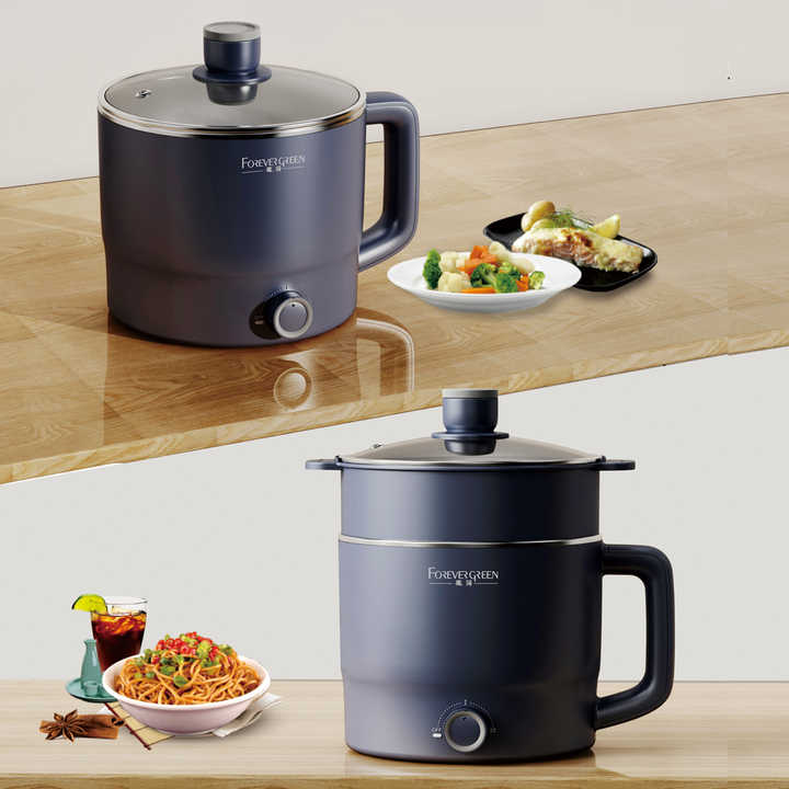 multi-function mini electric cooker